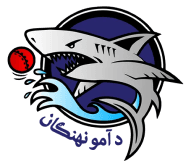 Team logo