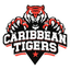 Caribbean Tigers Flag