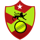 Team logo